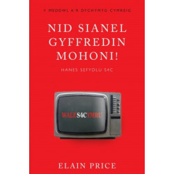 Nid Sianel Gyffredin Mohoni!: Hanes Sefydlu S4C
