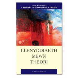 Llenyddiaeth Mewn Theori