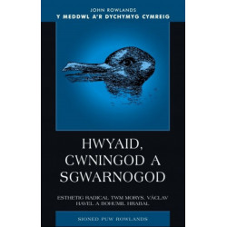 Hwyaid, Cwningod a Sgwarnogod: Esthetig Radical Twm Morys, Vaclav Havel a Bohumil Hrabal