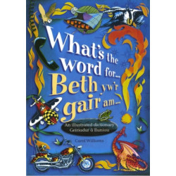 What's the Word for...?: Beth yw'r Gair am...?