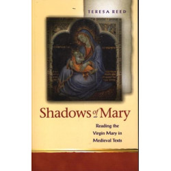 Shadows of Mary: Understanding Images of the Virgin Mary in Medieval Texts