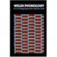 Welsh Phonology: Selected Readings
