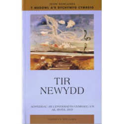 Tir Newydd: Llenyddiaeth Gymraeg a'r Ail Ryfel Byd