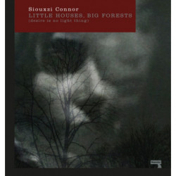 Little Houses, Big Forests: Desire Is No Light Thing