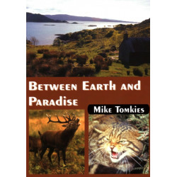 Between Earth and Paradise