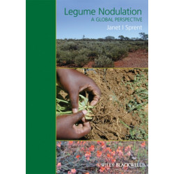 Legume Nodulation: A Global Perspective