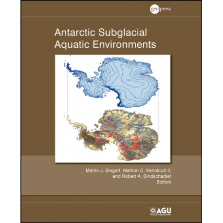 Antarctic Subglacial Aquatic Environments