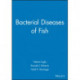 Bacterial Diseases of Fish