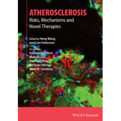 Atherosclerosis: Risks, Mechanisms, and Therapies