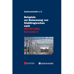 Beispiele zur Bemessung von Stahltragwerken nach DIN EN 1993 Eurocode 3