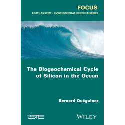 The Biogeochemical Cycle of Silicon in the Ocean