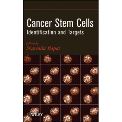 Cancer Stem Cells: Identification and Targets