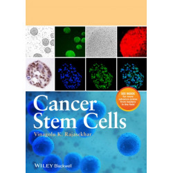 Cancer Stem Cells