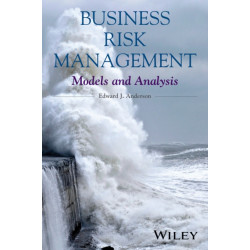 Business Risk Management: Models and Analysis