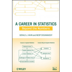 A Career in Statistics: Beyond the Numbers