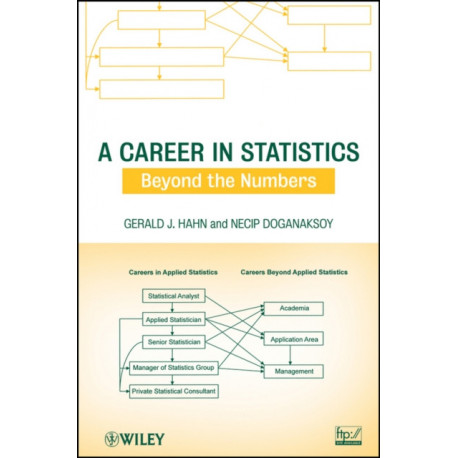 A Career in Statistics: Beyond the Numbers