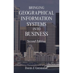 Bringing Geographical Information Systems into Business