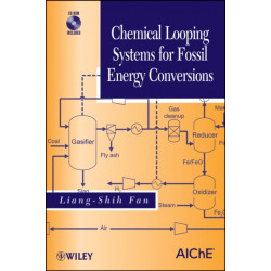 Chemical Looping Systems for Fossil Energy Conversions