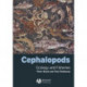 Cephalopods: Ecology and Fisheries