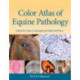 Color Atlas of Equine Pathology