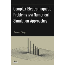 Complex Electromagnetic Problems and Numerical Simulation Approaches