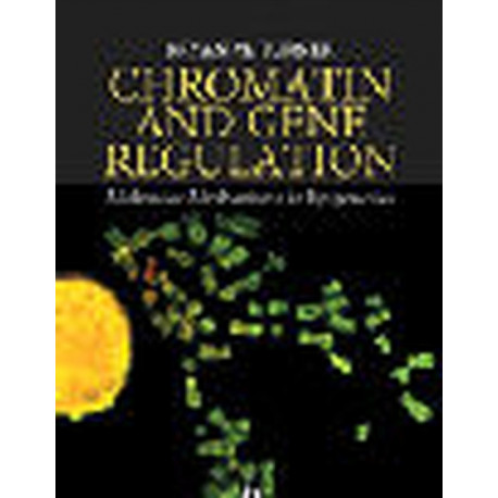 Chromatin and Gene Regulation: Molecular Mechanisms in Epigenetics