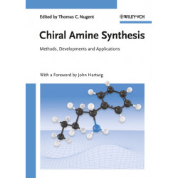 Chiral Amine Synthesis: Methods, Developments and Applications