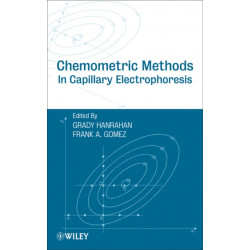 Chemometric Methods in Capillary Electrophoresis
