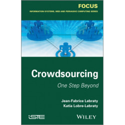 Crowdsourcing: One Step Beyond