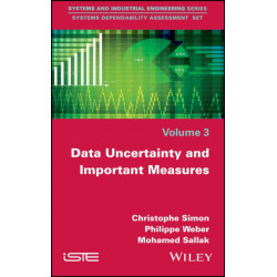 Data Uncertainty and Important Measures