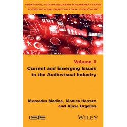 Current and Emerging Issues in the Audiovisual Industry
