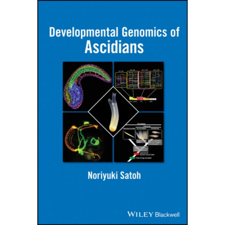 Developmental Genomics of Ascidians