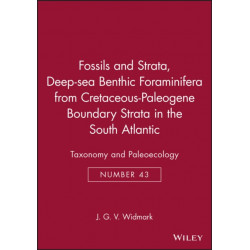 Deep-sea Benthic Foraminifera from Cretaceous-Paleogene Boundary Strata in the South Atlantic: Taxonomy and Paleoecology