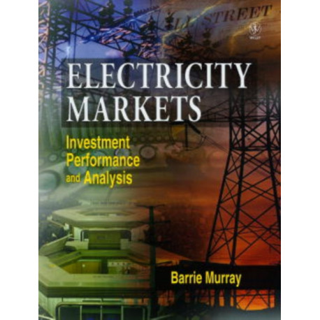 Electricity Markets: Investment, Performance and Analysis
