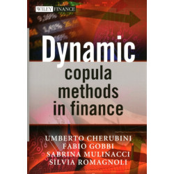 Dynamic Copula Methods in Finance