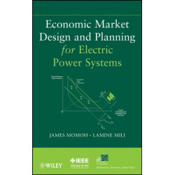Economic Market Design and Planning for Electric Power Systems