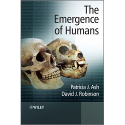 The Emergence of Humans: An Exploration of the Evolutionary Timeline