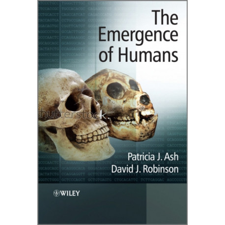 The Emergence of Humans: An Exploration of the Evolutionary Timeline