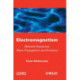 Electromagnetism: Maxwell Equations, Wave Propagation and Emission