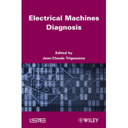 Electrical Machines Diagnosis