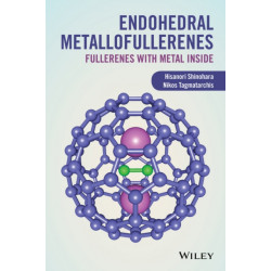 Endohedral Metallofullerenes: Fullerenes with Metal Inside
