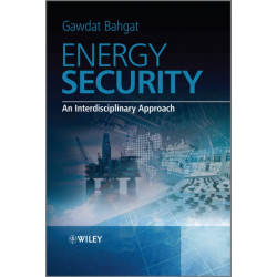 Energy Security: An Interdisciplinary Approach