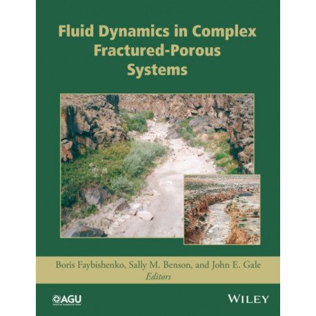 Fluid Dynamics in Complex Fractured-Porous Systems