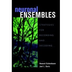 Neuronal Ensembles: Strategies for Recording and Decoding
