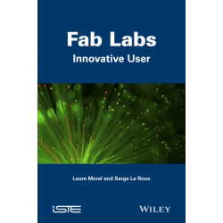 Fab Labs: Innovative User
