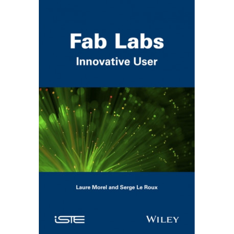 Fab Labs: Innovative User