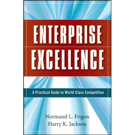 Enterprise Excellence: A Practical Guide to World Class Competition