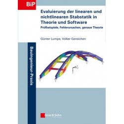 Evaluierung der linearen und nichtlinearen Stabstatik in Theorie und Software: Prufbeispiele, Fehlerursachen, genaue Theorie