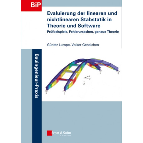Evaluierung der linearen und nichtlinearen Stabstatik in Theorie und Software: Prufbeispiele, Fehlerursachen, genaue Theorie
