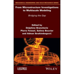 From Microstructure Investigations to Multiscale Modeling: Bridging the Gap